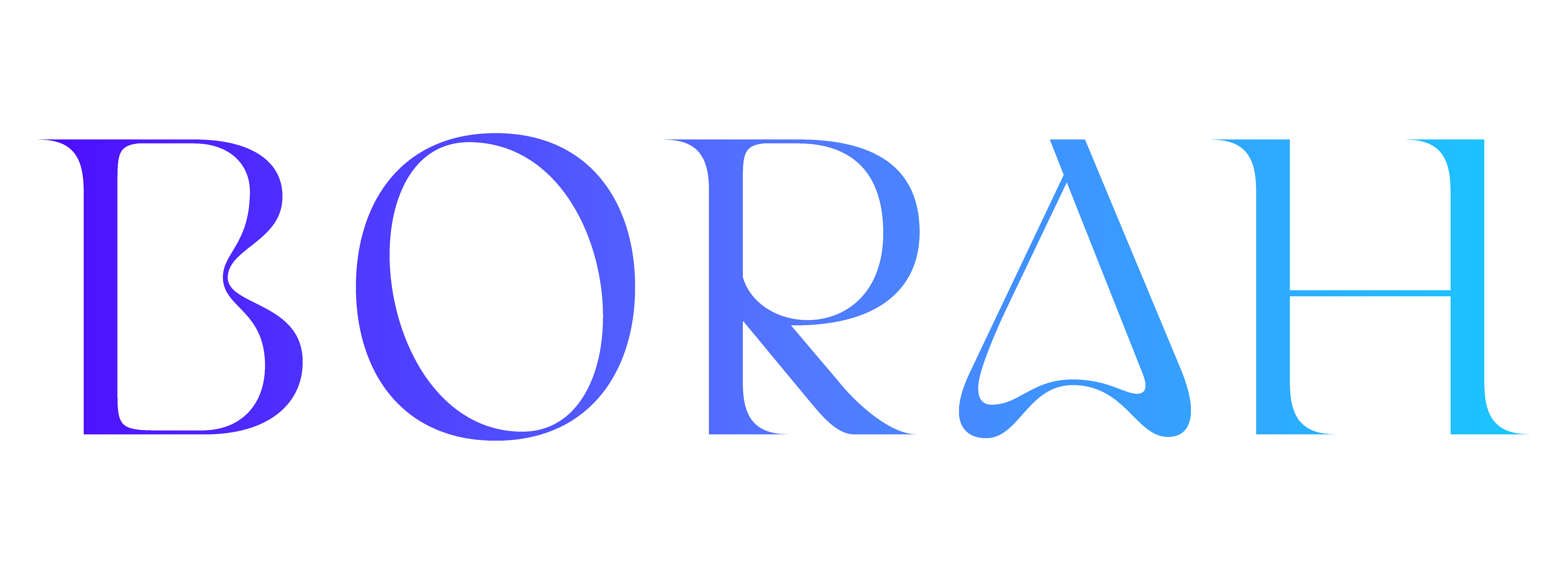 Borah Studio logo